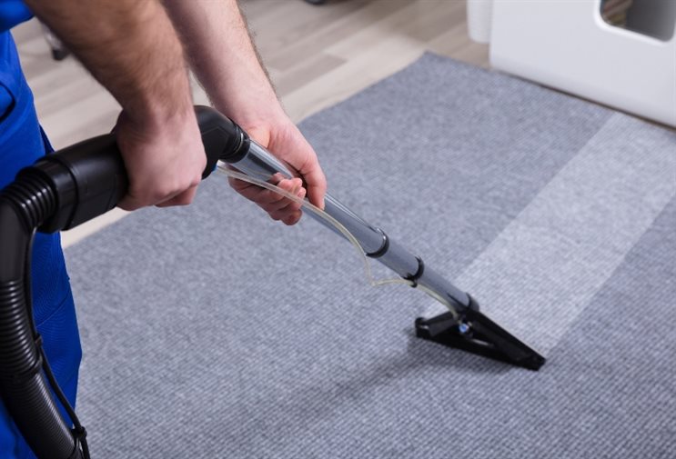 Basic Advice For People Who Need Carpet Cleaning Services | Runningponies